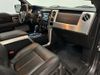 2014 Ford F-150 PLATINUM | Carrollton, TX | CarChoice.com