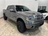 2014 Ford F-150 PLATINUM | Carrollton, TX | CarChoice.com