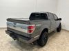 2014 Ford F-150 PLATINUM | Carrollton, TX | CarChoice.com