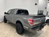 2014 Ford F-150 PLATINUM | Carrollton, TX | CarChoice.com