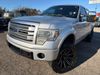 2014 Ford F-150 Platinum | Gainesville, GA | Global Motorsports 2014 Ford F-150 Platinum | Gainesville, GA | Global Motorsports