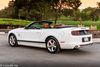 2014 Ford Mustang V6 Premium | Concord, CA | Carbuffs 2014 Ford Mustang V6 Premium | Concord, CA | Carbuffs