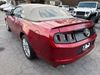 2014 Ford Mustang V6 Premium | Gainesville, GA | Global Motorsports 2014 Ford Mustang V6 Premium | Gainesville, GA | Global Motorsports