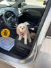 2014 Kia Soul HatchBack | Bentleyville, Pennsylvania | Tregembo Motors 2014 Kia Soul HatchBack | Bentleyville, Pennsylvania | Tregembo Motors