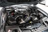 2015 BMW M5 Base | Plano, TX | Auto Locators of Texas 2015 BMW M5 Base | Plano, TX | Auto Locators of Texas