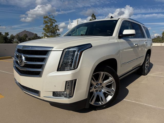 2015 Cadillac Escalade Premium | Scottsdale, AZ | The Used Car and Truck Club
