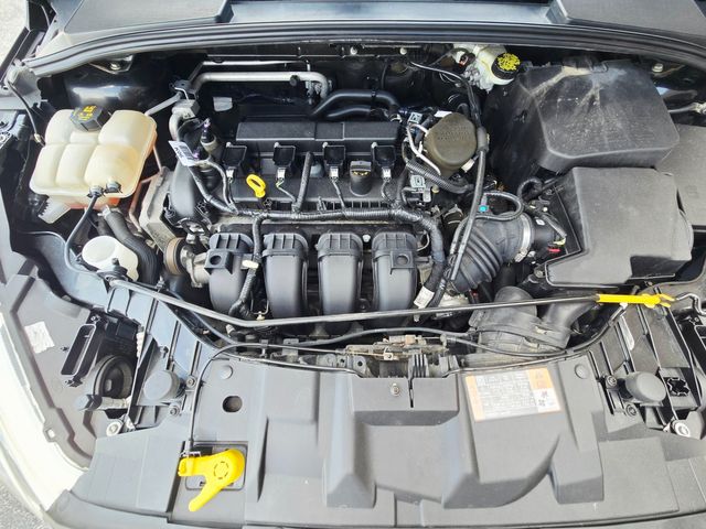 2015 Ford Focus SE | Ellisville, MO | AutoPort