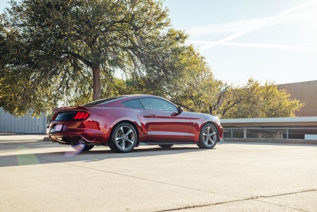 2015 Ford Mustang V6 ROUSH | Addison, TX | Apex Auto Sports 2015 Ford Mustang V6 ROUSH | Addison, TX | Apex Auto Sports