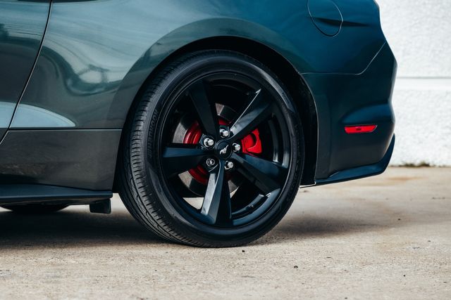 2015 Ford Mustang EcoBoost Premium | Addison, TX | Apex Auto Sports