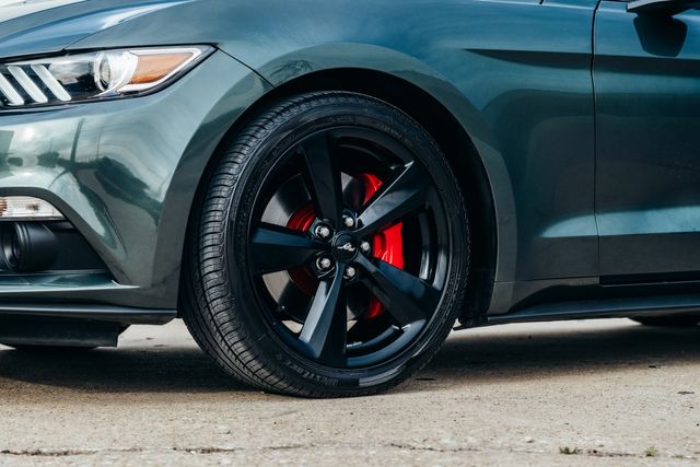 2015 Ford Mustang EcoBoost Premium | Addison, TX | Apex Auto Sports 2015 Ford Mustang EcoBoost Premium | Addison, TX | Apex Auto Sports