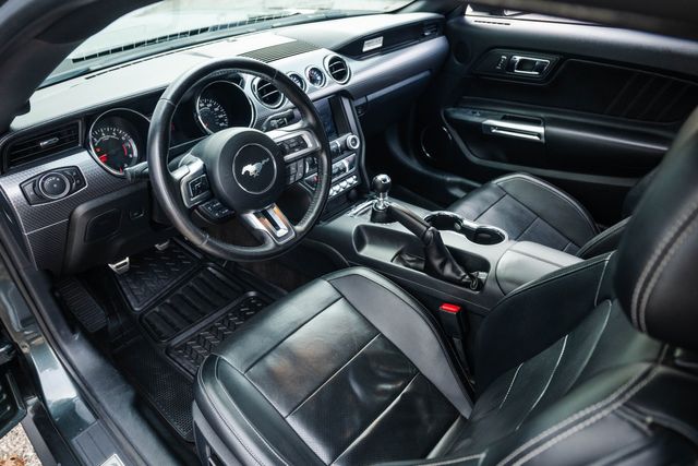 2015 Ford Mustang EcoBoost Premium | Addison, TX | Apex Auto Sports