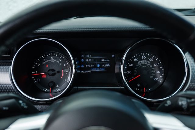 2015 Ford Mustang EcoBoost Premium | Addison, TX | Apex Auto Sports 2015 Ford Mustang EcoBoost Premium | Addison, TX | Apex Auto Sports