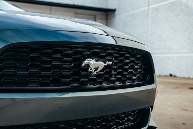 2015 Ford Mustang EcoBoost Premium | Addison, TX | Apex Auto Sports 2015 Ford Mustang EcoBoost Premium | Addison, TX | Apex Auto Sports