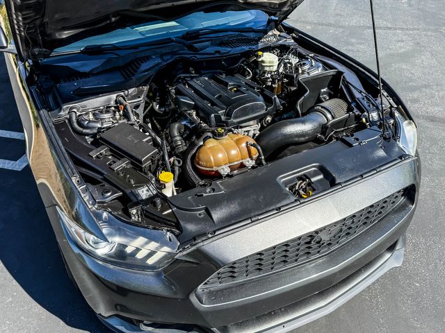 2015 Ford Mustang EcoBoost 6SPD MANUAL | Agoura Hills, CA | SoCal Auto Group