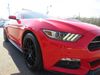 2015 Ford Mustang EcoBoost Premium | Batesville, Mississippi | Stanley's Auto Sales