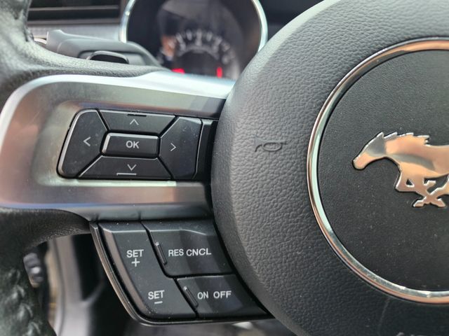 2015 Ford Mustang EcoBoost Premium | Brownsville TX | English Motors 2015 Ford Mustang EcoBoost Premium | Brownsville TX | English Motors