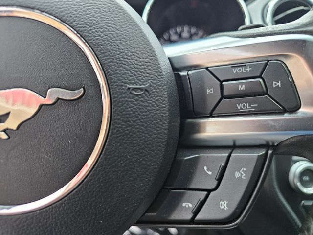 2015 Ford Mustang EcoBoost Premium | Brownsville TX | English Motors 2015 Ford Mustang EcoBoost Premium | Brownsville TX | English Motors