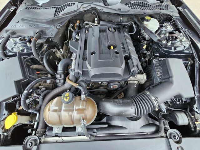 2015 Ford Mustang EcoBoost Premium | Brownsville TX | English Motors 2015 Ford Mustang EcoBoost Premium | Brownsville TX | English Motors