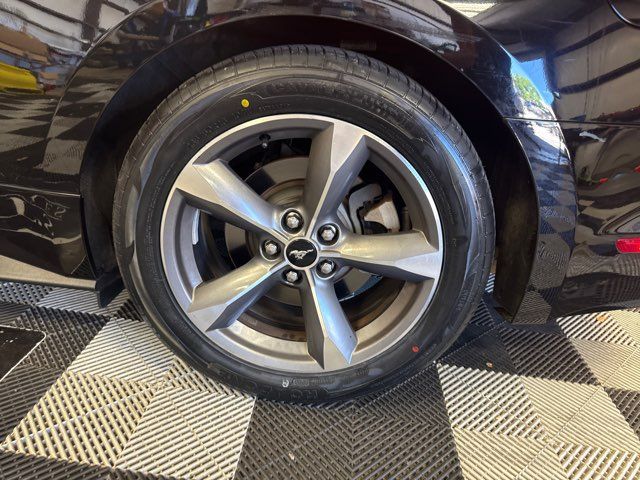 2015 Ford Mustang V6 - Ledet's Auto Sales Gonzales, Louisiana 70737 2015 Ford Mustang V6 - Ledet's Auto Sales Gonzales, Louisiana 70737