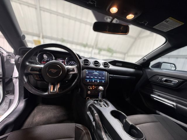 2015 Ford MUSTANG V6 | Houston, TX | Texas Star Motors 2015 Ford MUSTANG V6 | Houston, TX | Texas Star Motors