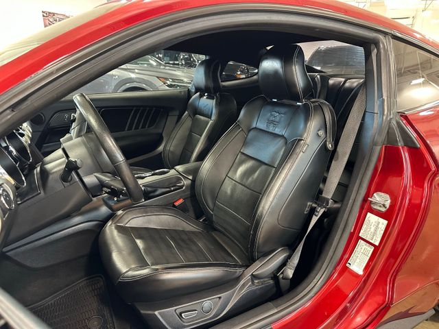 2015 Ford Mustang EcoBoost Premium 50th Anniversary Package Shake... | Irving, Texas | Hopper Motorplex