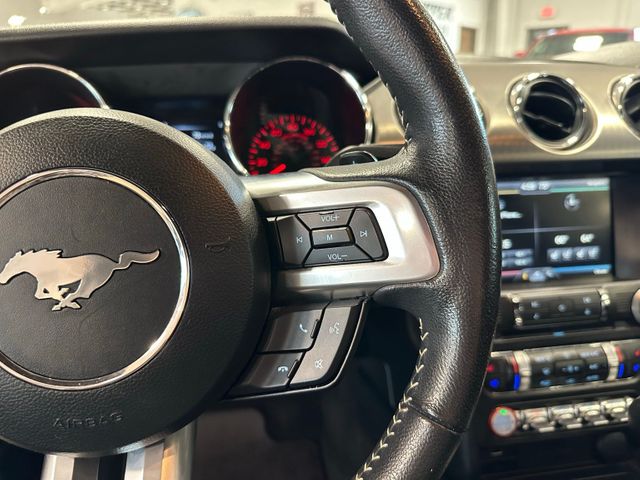 2015 Ford Mustang EcoBoost Premium 50th Anniversary Package Shake... | Irving, Texas | Hopper Motorplex 2015 Ford Mustang EcoBoost Premium 50th Anniversary Package Shake... | Irving, Texas | Hopper Motorplex