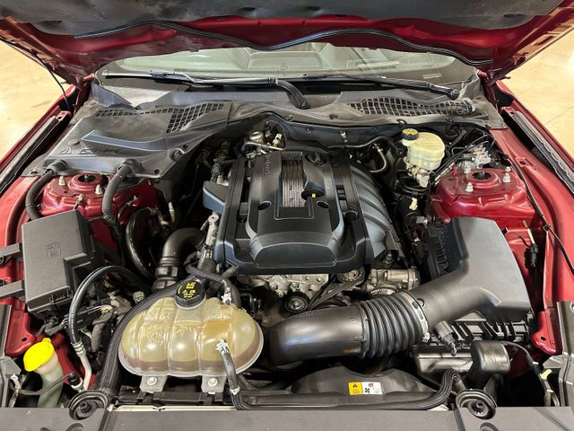 2015 Ford Mustang EcoBoost Premium 50th Anniversary Package Shake... | Irving, Texas | Hopper Motorplex 2015 Ford Mustang EcoBoost Premium 50th Anniversary Package Shake... | Irving, Texas | Hopper Motorplex