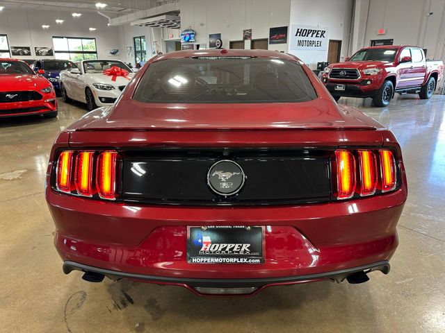 2015 Ford Mustang EcoBoost Premium 50th Anniversary Package Shake... | Irving, Texas | Hopper Motorplex 2015 Ford Mustang EcoBoost Premium 50th Anniversary Package Shake... | Irving, Texas | Hopper Motorplex