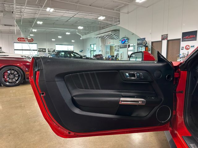 2015 Ford Mustang GT Premium | Irving, Texas | Hopper Motorplex 2015 Ford Mustang GT Premium | Irving, Texas | Hopper Motorplex