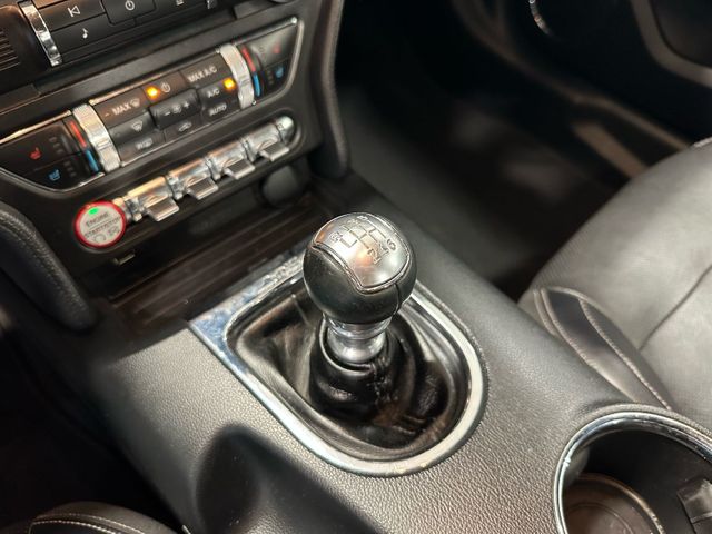 2015 Ford Mustang GT Premium | Irving, Texas | Hopper Motorplex