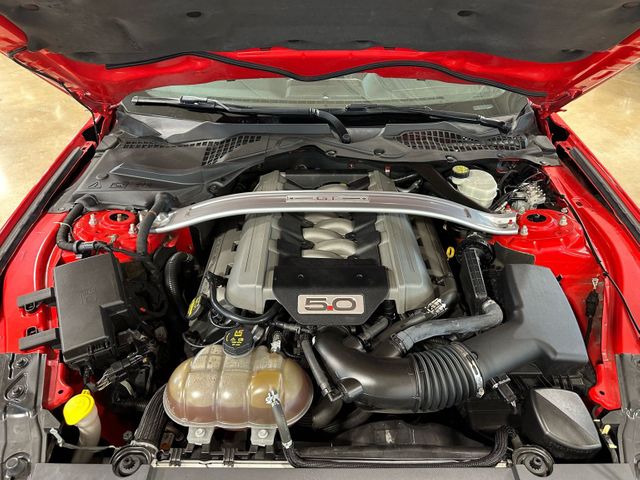 2015 Ford Mustang GT Premium | Irving, Texas | Hopper Motorplex