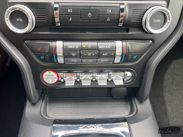 2015 Ford Mustang GT Premium | Jacksonville , FL | Premier Automotive Source LLC