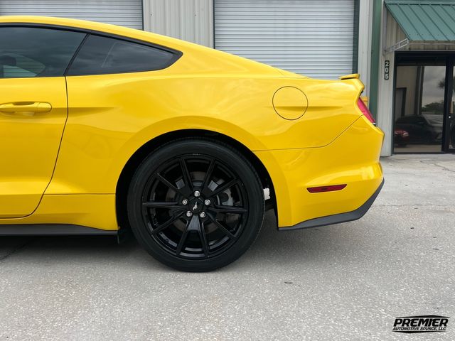 2015 Ford Mustang GT Premium | Jacksonville , FL | Premier Automotive Source LLC
