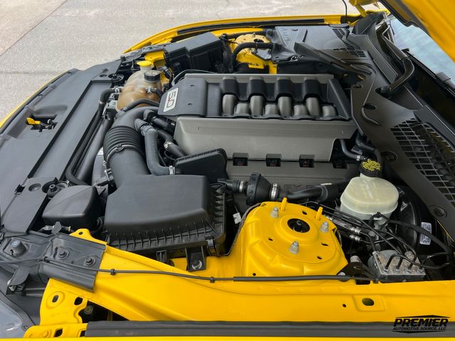 2015 Ford Mustang GT Premium | Jacksonville , FL | Premier Automotive Source LLC