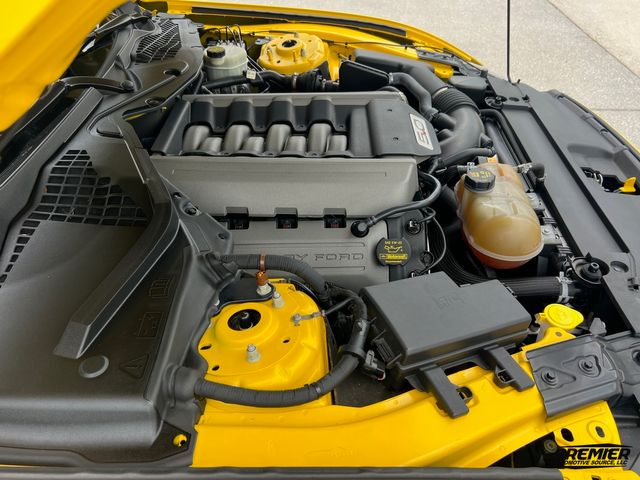 2015 Ford Mustang GT Premium | Jacksonville , FL | Premier Automotive Source LLC