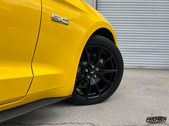 2015 Ford Mustang GT Premium | Jacksonville , FL | Premier Automotive Source LLC 2015 Ford Mustang GT Premium | Jacksonville , FL | Premier Automotive Source LLC