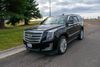 2016 Cadillac Escalade Platinum | Great Falls, Montana | Bleskin Motor Company 