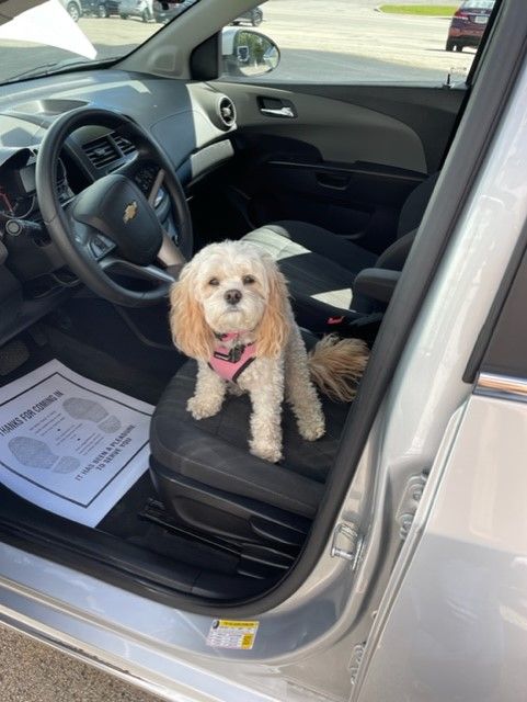 2016 Ford Explorer 4X4 Limited