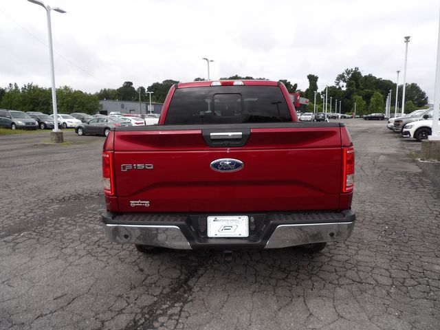 2016 Ford F-150 XLT | Dalton, GA | Paniagua Auto Mall 2016 Ford F-150 XLT | Dalton, GA | Paniagua Auto Mall