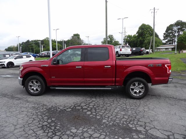 2016 Ford F-150 XLT | Dalton, GA | Paniagua Auto Mall 