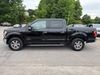 2016 Ford F-150 XLT | Gainesville, GA | Global Motorsports