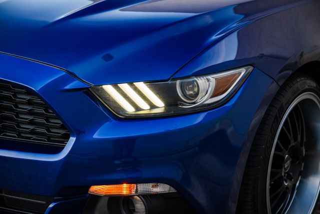 2016 Ford Mustang EcoBoost Premium | Addison, TX | Apex Auto Sports 2016 Ford Mustang EcoBoost Premium | Addison, TX | Apex Auto Sports