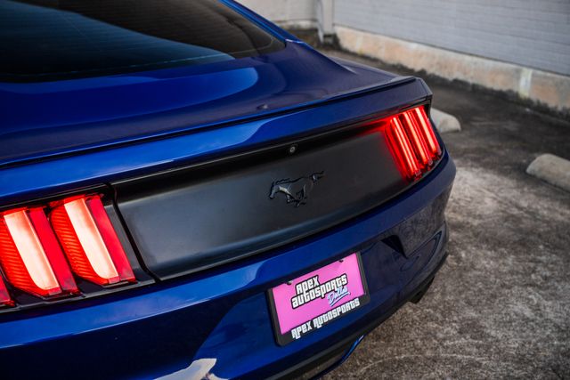 2016 Ford Mustang EcoBoost Premium | Addison, TX | Apex Auto Sports 2016 Ford Mustang EcoBoost Premium | Addison, TX | Apex Auto Sports