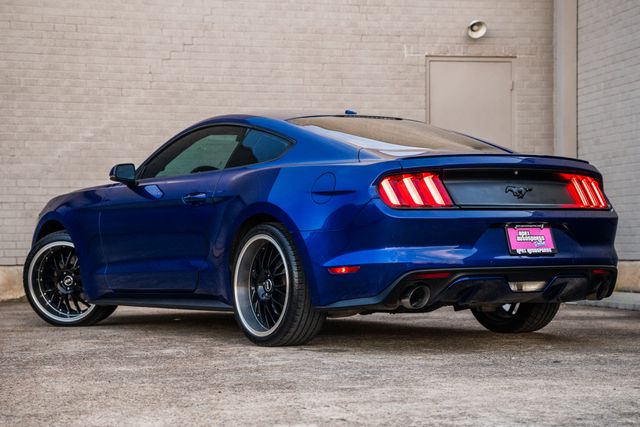 2016 Ford Mustang EcoBoost Premium | Addison, TX | Apex Auto Sports 2016 Ford Mustang EcoBoost Premium | Addison, TX | Apex Auto Sports