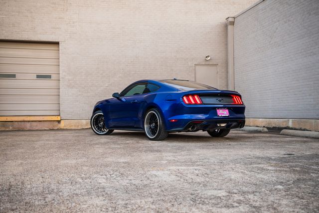 2016 Ford Mustang EcoBoost Premium | Addison, TX | Apex Auto Sports 2016 Ford Mustang EcoBoost Premium | Addison, TX | Apex Auto Sports
