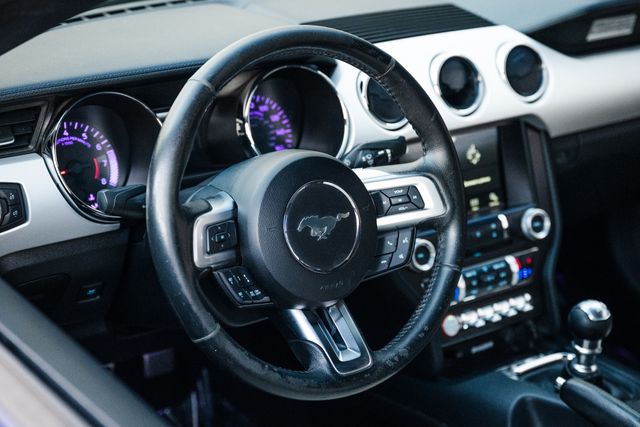 2016 Ford Mustang EcoBoost Premium | Addison, TX | Apex Auto Sports 2016 Ford Mustang EcoBoost Premium | Addison, TX | Apex Auto Sports