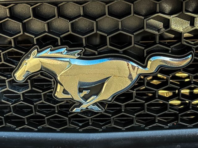 2016 Ford Mustang GT Premium | Agoura Hills, CA | SoCal Auto Group