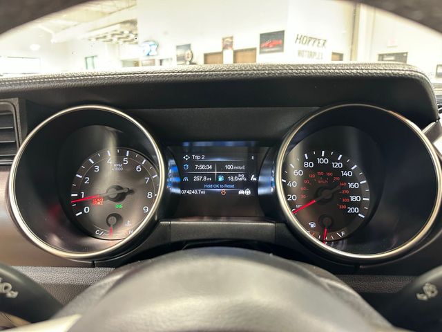 2016 Ford Mustang Shelby GT350 Voodoo V8 Technology Package Voice... | Irving, Texas | Hopper Motorplex