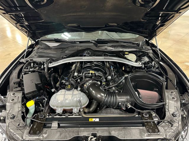 2016 Ford Mustang Shelby GT350 Voodoo V8 Technology Package Voice... | Irving, Texas | Hopper Motorplex 2016 Ford Mustang Shelby GT350 Voodoo V8 Technology Package Voice... | Irving, Texas | Hopper Motorplex