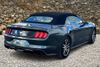 2016 Ford Mustang EcoBoost Premium | Naugatuck, Connecticut | A Better Way Wholesale Autos-CT 2016 Ford Mustang EcoBoost Premium | Naugatuck, Connecticut | A Better Way Wholesale Autos-CT